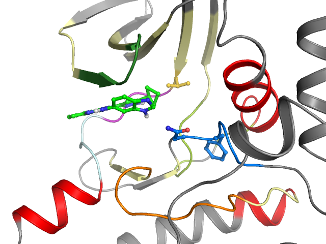The orthosteric binding pocket