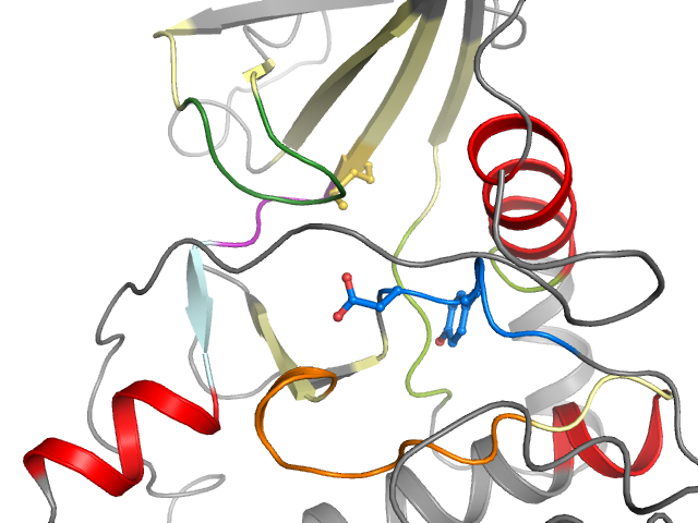 The orthosteric binding pocket