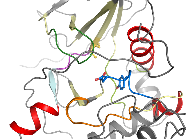 The orthosteric binding pocket