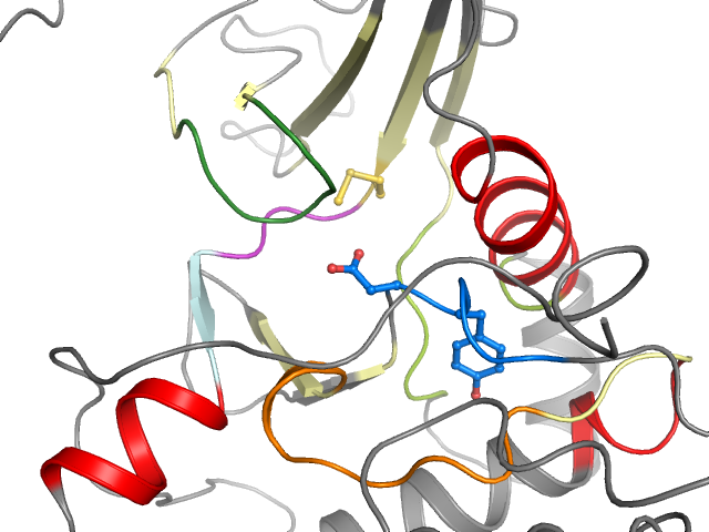 The orthosteric binding pocket
