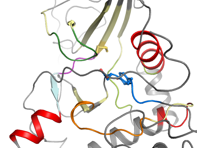 The orthosteric binding pocket