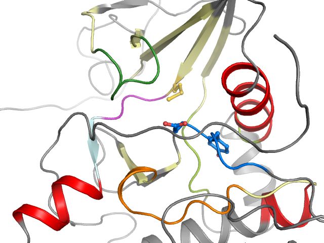 The orthosteric binding pocket