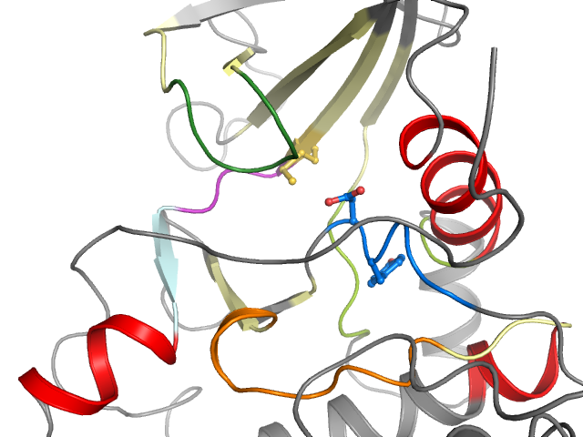 The orthosteric binding pocket