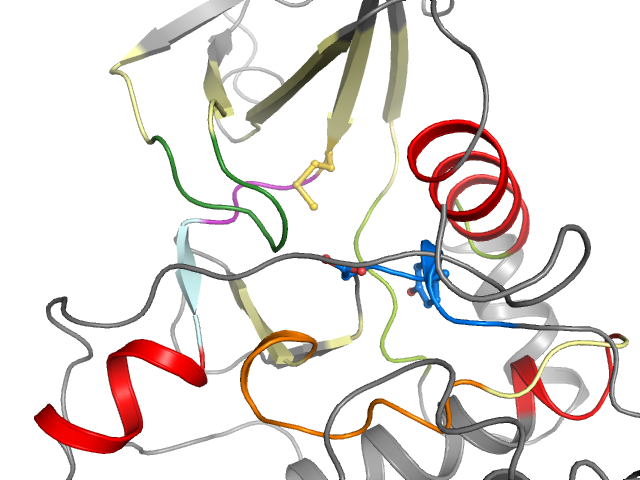 The orthosteric binding pocket