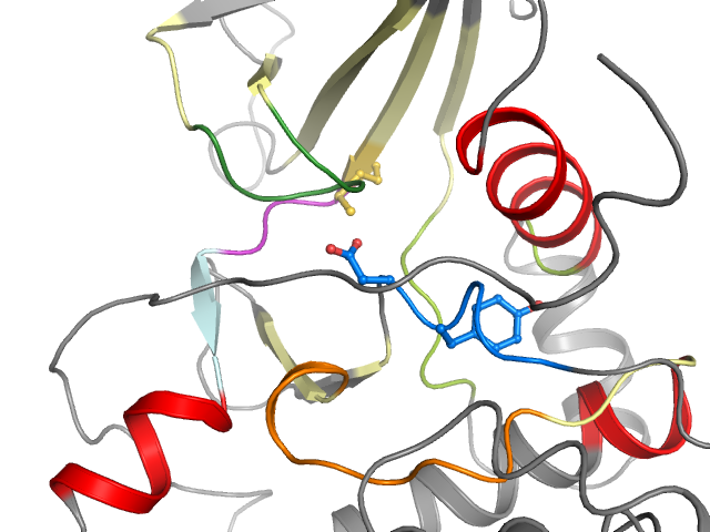 The orthosteric binding pocket