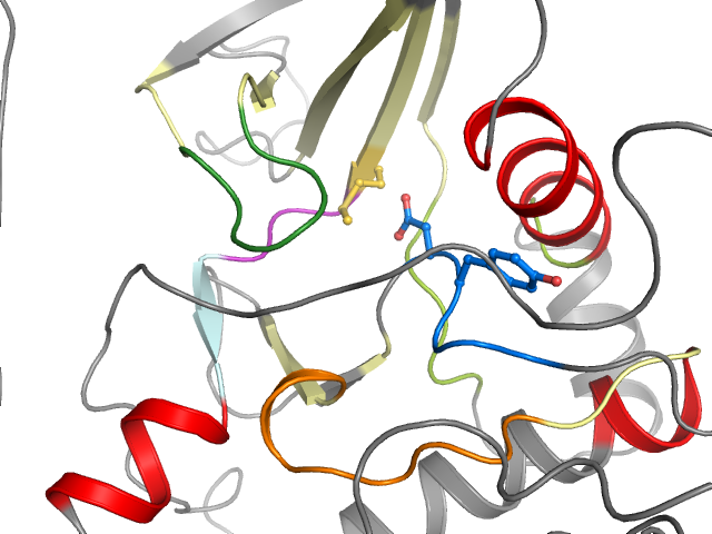 The orthosteric binding pocket