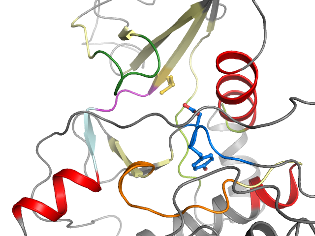 The orthosteric binding pocket