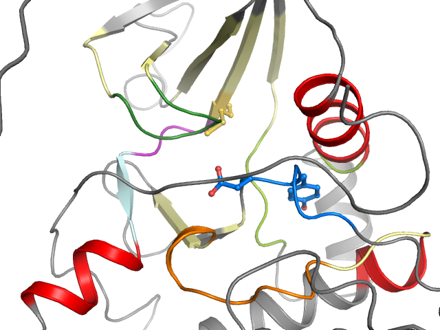 The orthosteric binding pocket