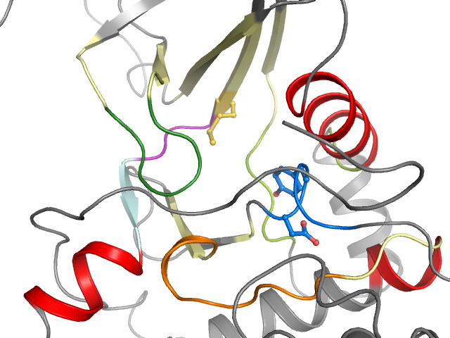 The orthosteric binding pocket