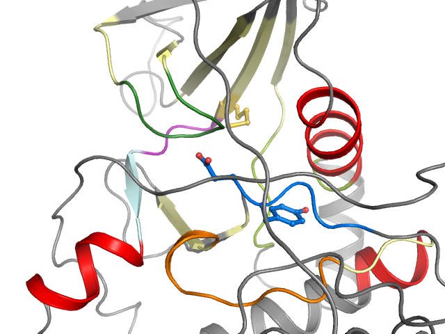 The orthosteric binding pocket