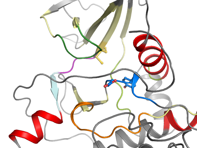 The orthosteric binding pocket