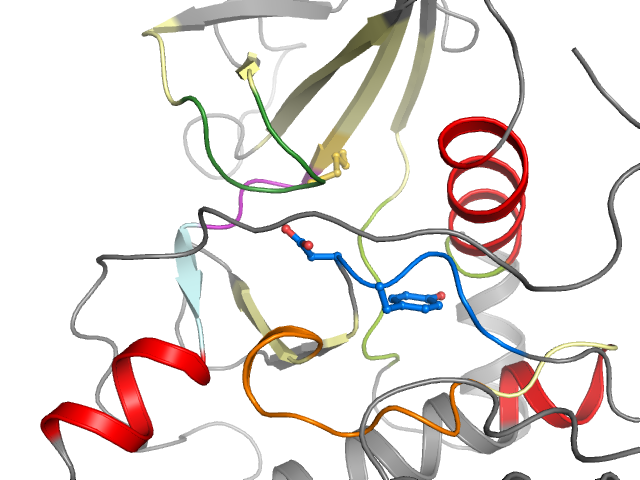 The orthosteric binding pocket