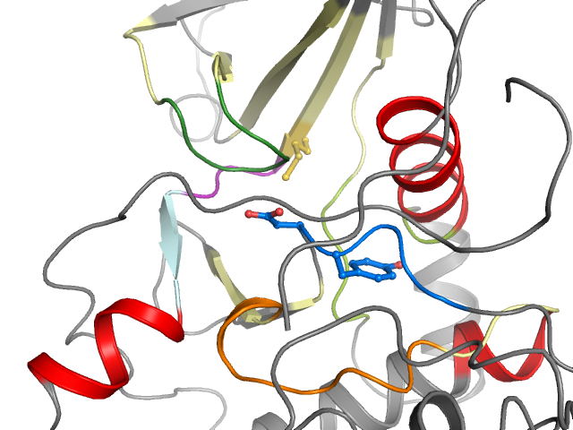 The orthosteric binding pocket