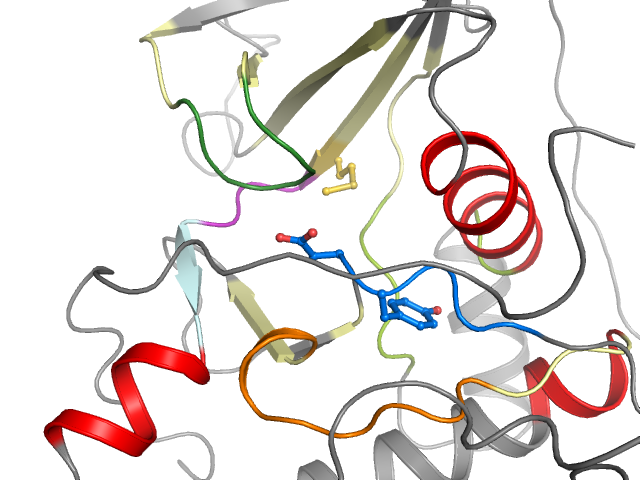 The orthosteric binding pocket