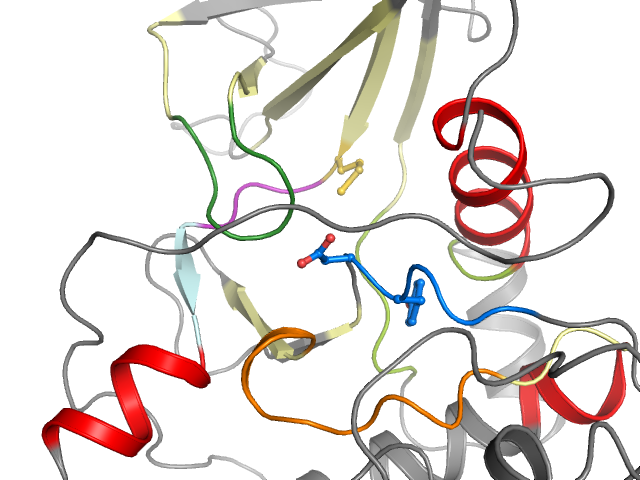 The orthosteric binding pocket