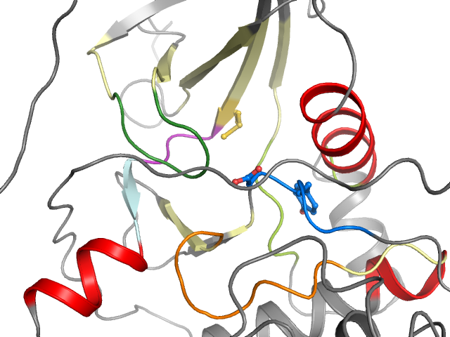 The orthosteric binding pocket