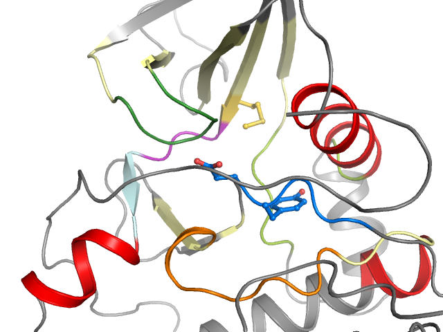 The orthosteric binding pocket