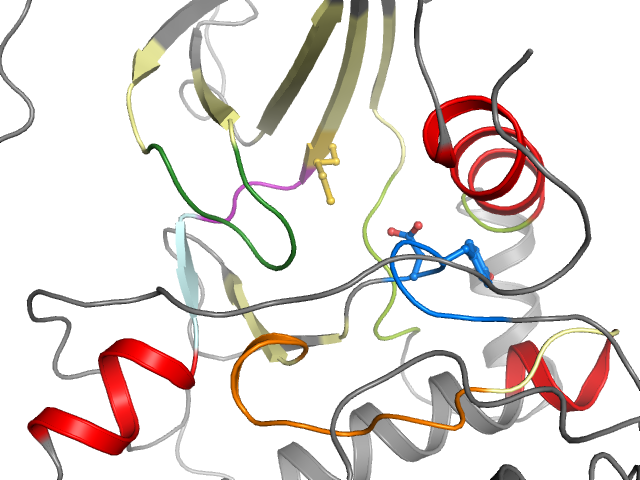The orthosteric binding pocket