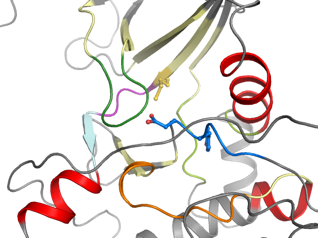 The orthosteric binding pocket