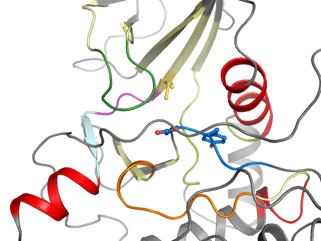 The orthosteric binding pocket