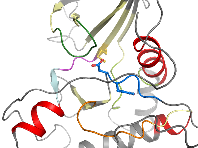 The orthosteric binding pocket