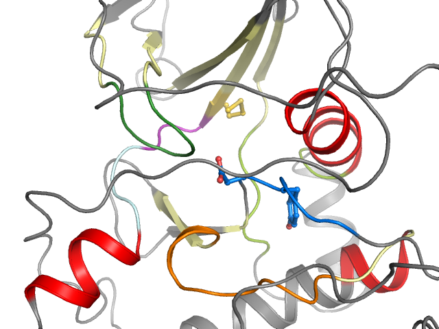 The orthosteric binding pocket