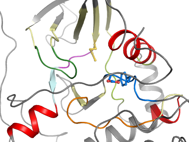 The orthosteric binding pocket