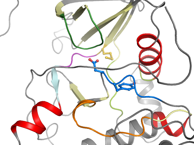 The orthosteric binding pocket