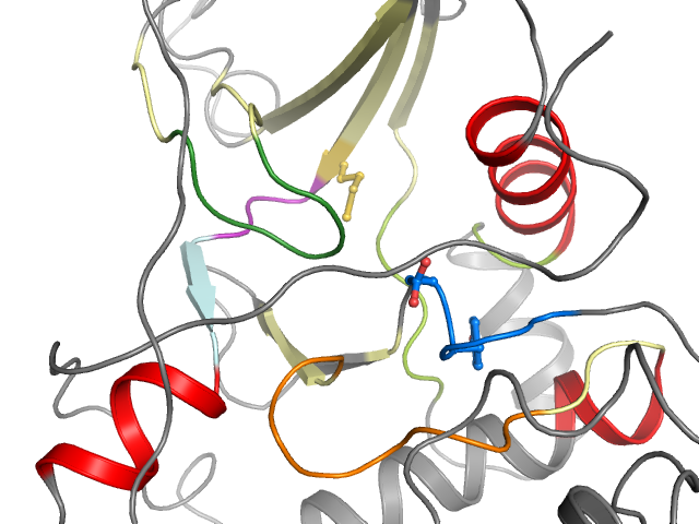 The orthosteric binding pocket