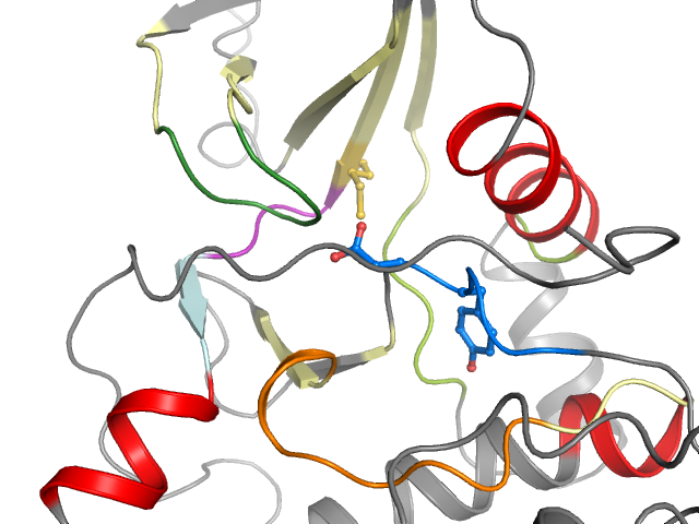The orthosteric binding pocket