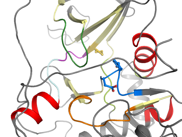 The orthosteric binding pocket
