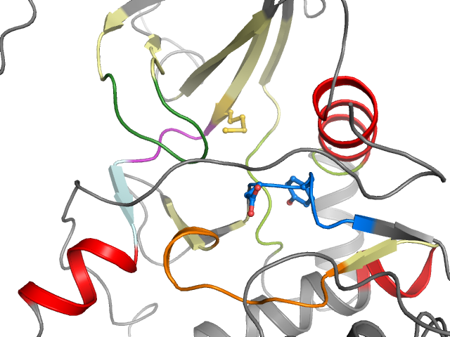 The orthosteric binding pocket