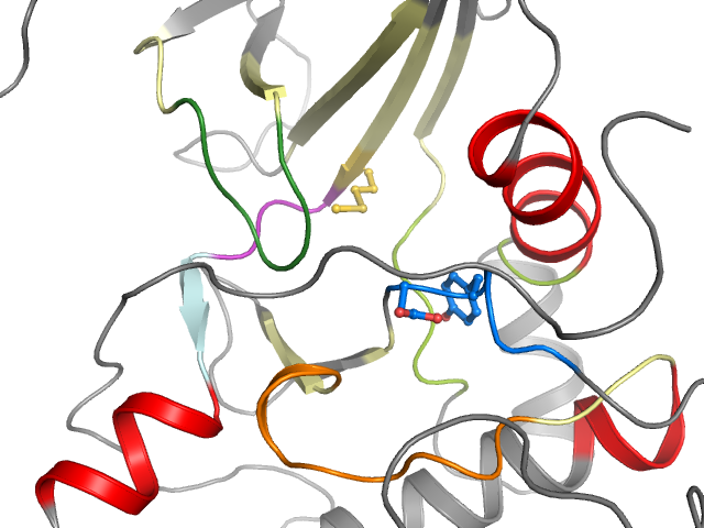The orthosteric binding pocket