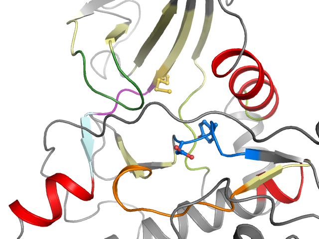 The orthosteric binding pocket