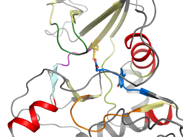 The orthosteric binding pocket