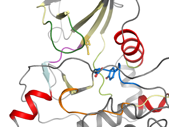 The orthosteric binding pocket