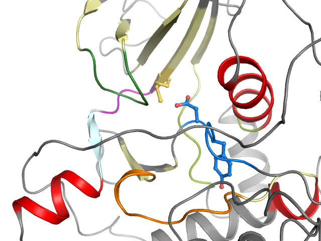 The orthosteric binding pocket