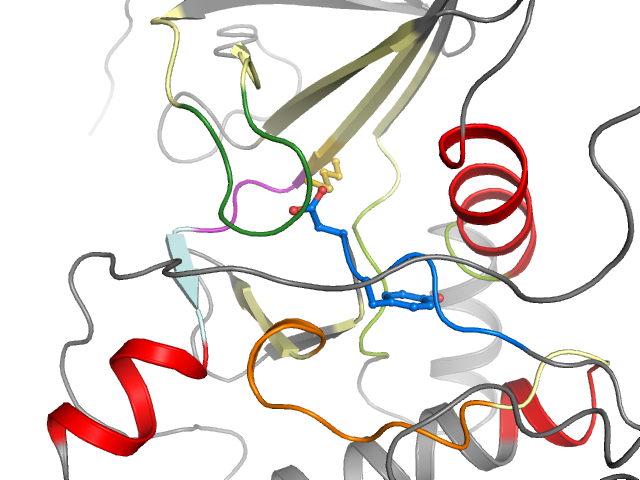 The orthosteric binding pocket
