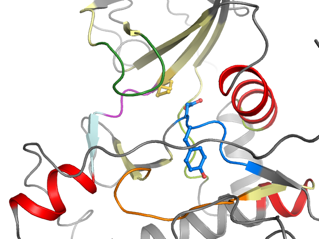 The orthosteric binding pocket