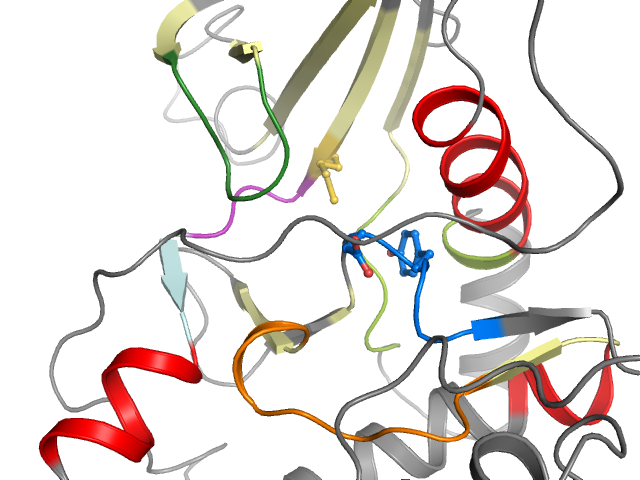 The orthosteric binding pocket