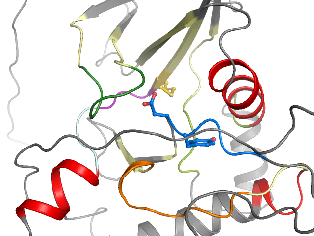The orthosteric binding pocket
