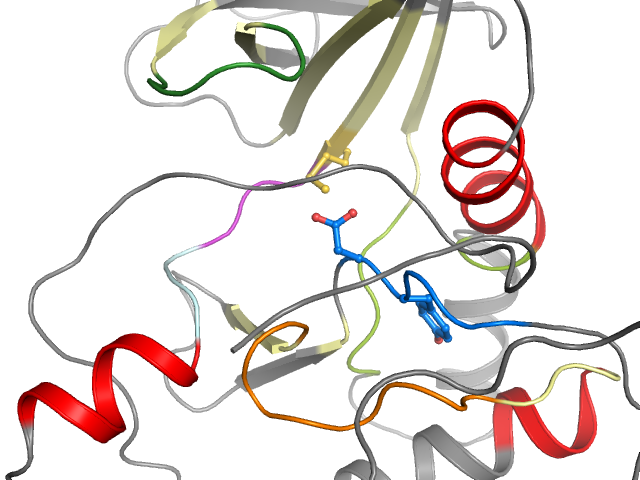 The orthosteric binding pocket