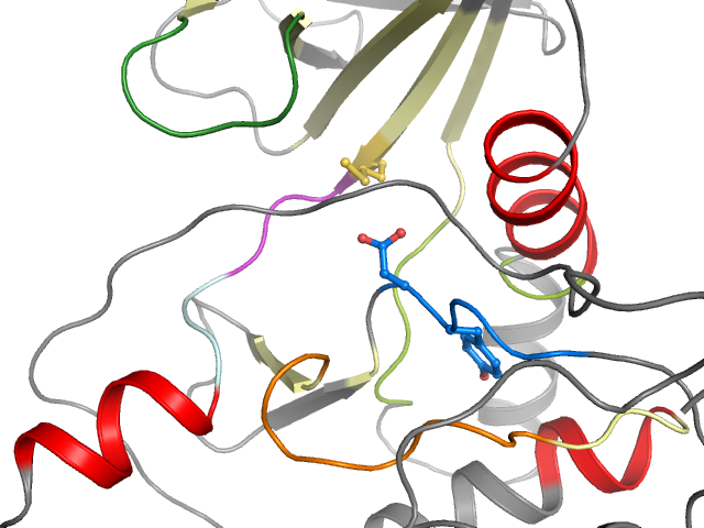 The orthosteric binding pocket