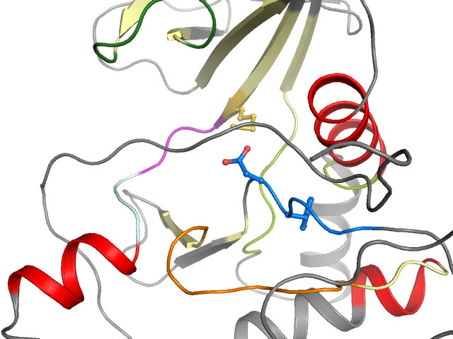 The orthosteric binding pocket