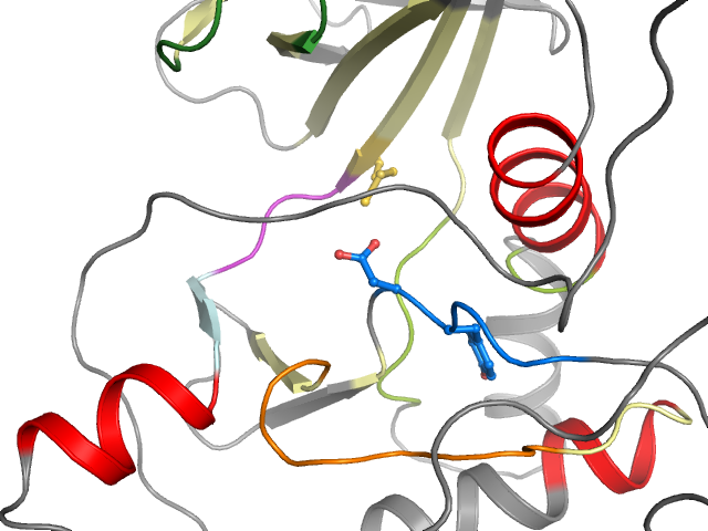 The orthosteric binding pocket