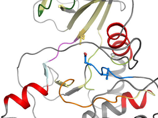 The orthosteric binding pocket