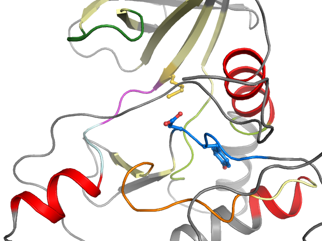 The orthosteric binding pocket