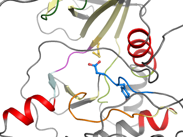 The orthosteric binding pocket