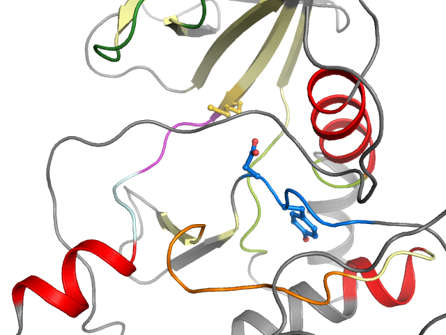 The orthosteric binding pocket