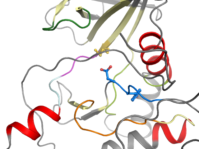 The orthosteric binding pocket
